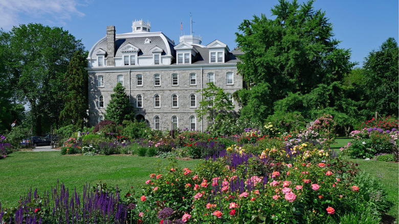 colorful flowers near Swarthmore College