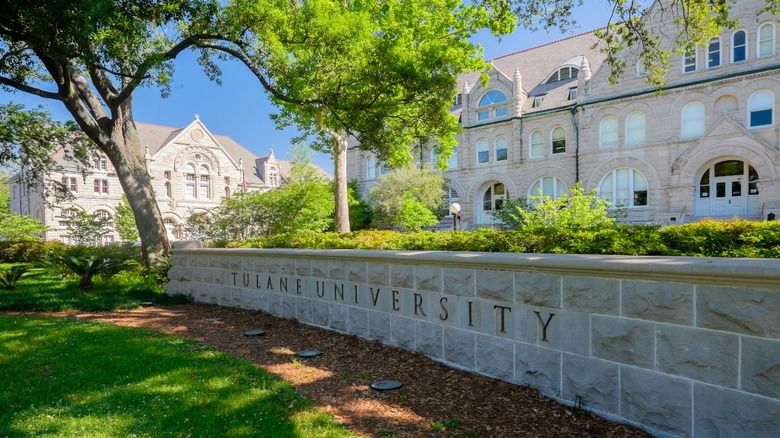 Tulane University sign near buildings