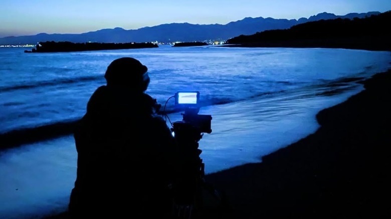 Bioluminescent squid, Toyama