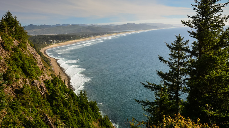 View from Neahkahnie Mountain