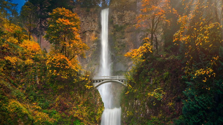 Multnomah Falls behind hidden bridge