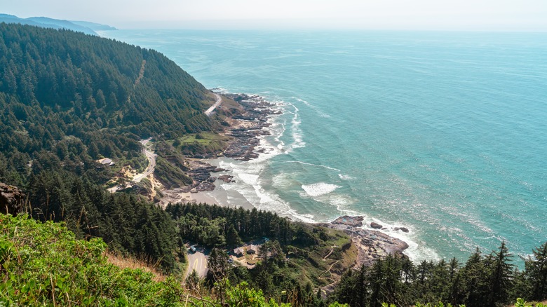 Cape Perpetua Overlook