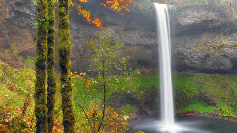 South Falls and fall foliage