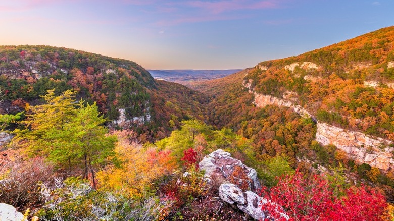 colorful foliage in Cloudland Canyon