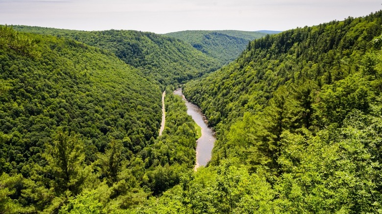 Grand Canyon of Pennsylvania