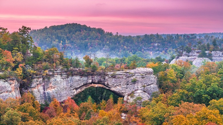 colorful foliage near Natural Arch