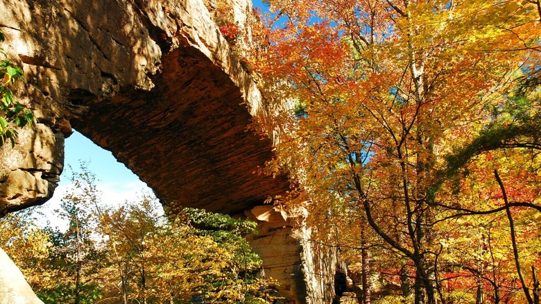 Natural Bridge in autumn