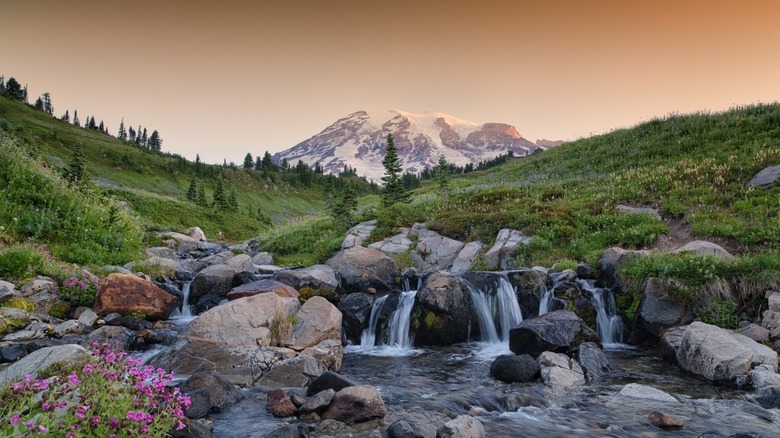 Paradise region of Mount Rainier National Park