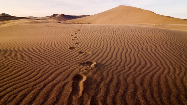 footprints in sand dunes