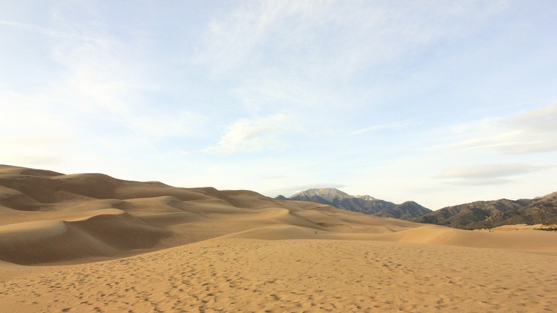 Star Dune in Colorado