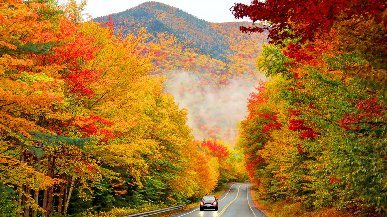 lush view of Kancamagus Highway