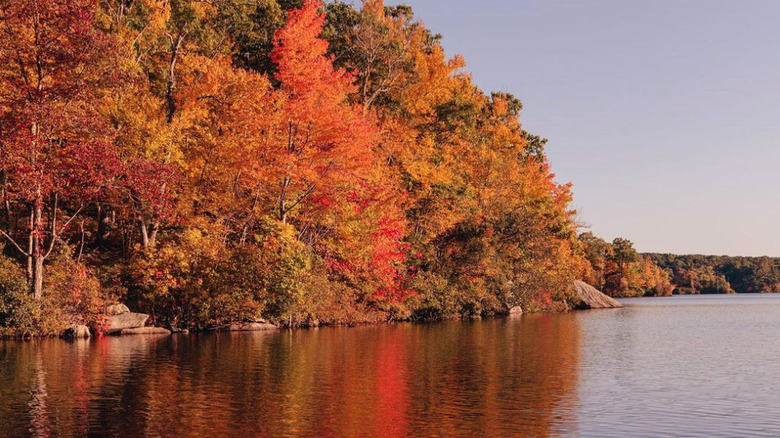 Autumn at Lincoln Woods