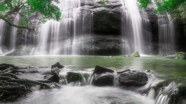 Anayadikuthu Falls, India
