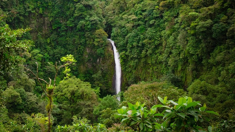 La Fortuna Waterfall 