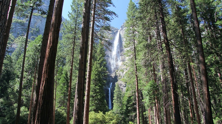 Yosemite Falls