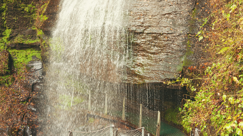 Buttermilk Falls, Indiana County, Pennsylvania