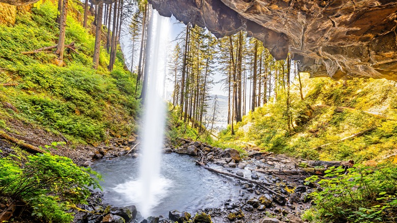  Ponytail Falls, Oregon