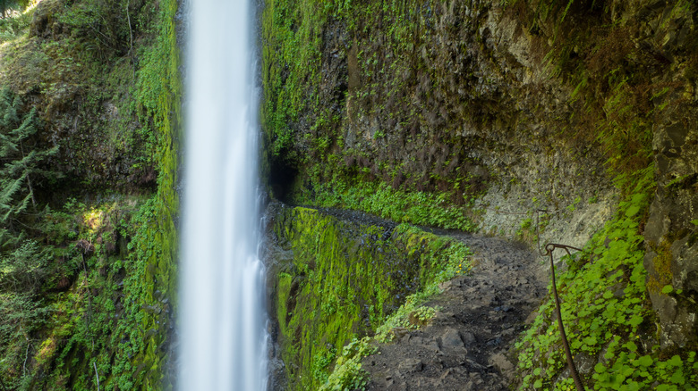 Tunnel Falls, Oregon