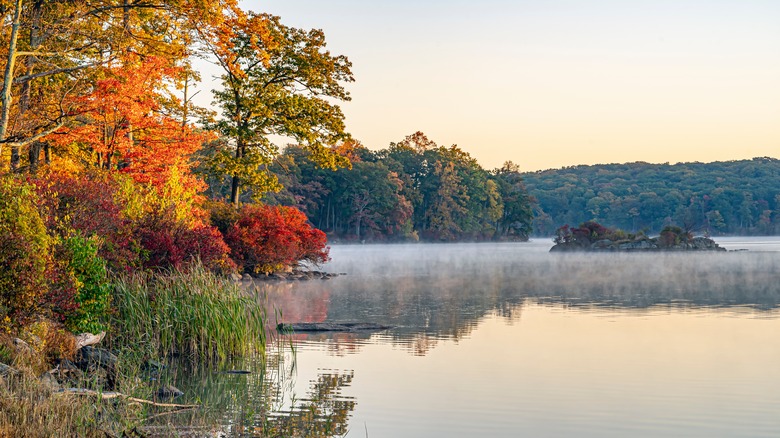 Views at Harriman State Park