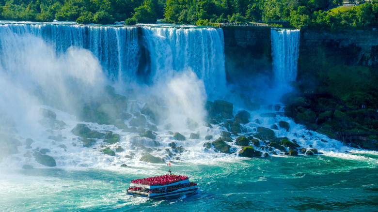 The roaring Niagara Falls