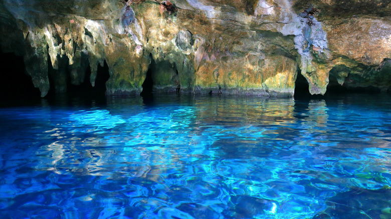 Beautiful scenery at Gran Cenote