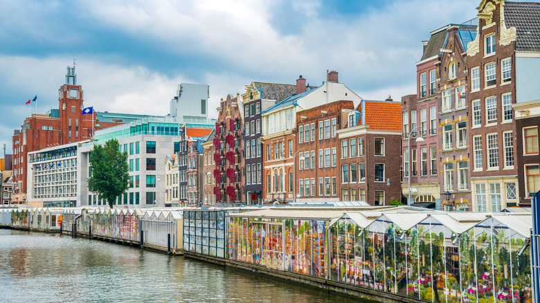 floating flower market amsterdam