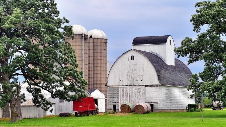 Farm in Sycamore