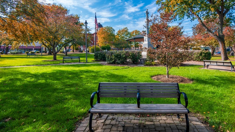 Woodstock Square in Woodstock