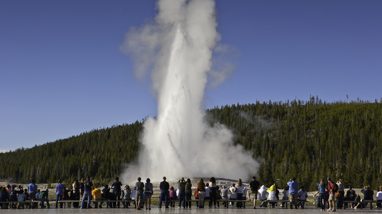 Tourists at Yellowstone National Park's Old Faithful geyser