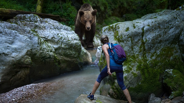 Woman coming face-to-face with a grizzly bear