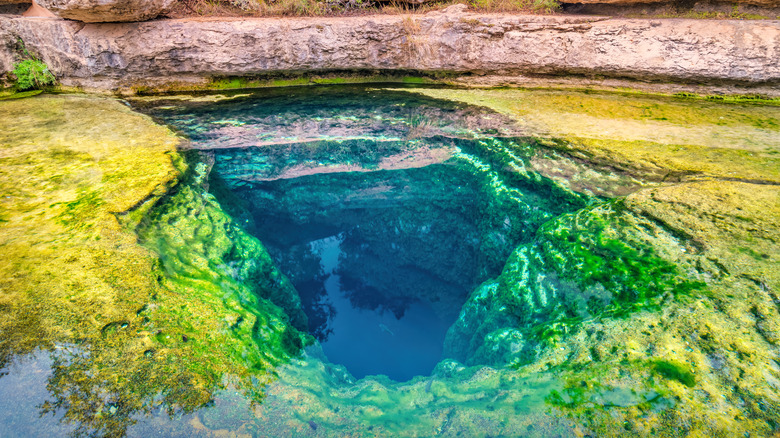 Jacob's Well in Wimberley, Texas