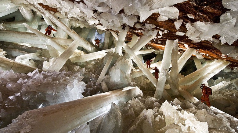 Naica Mine gypsum crystals