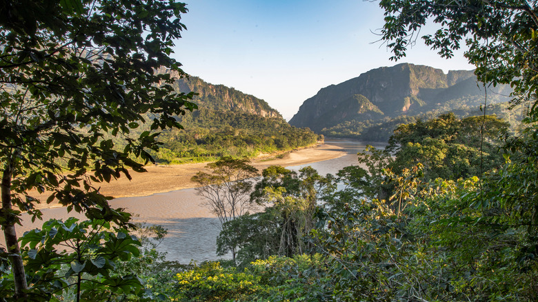 River in Madidi National Park, Bolivia 