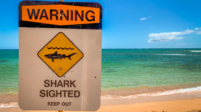 Shark sighting warning sign on beach