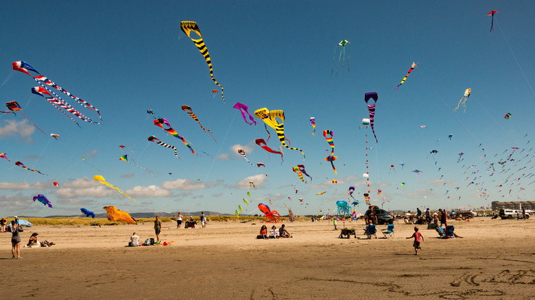 Kites flying above Long Beach