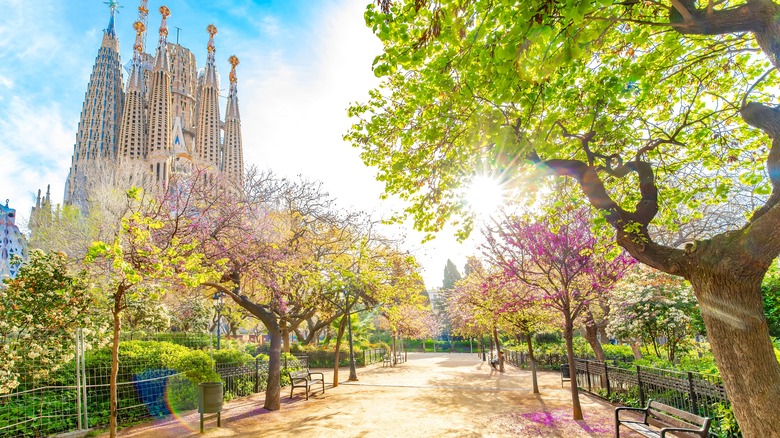 Sagrada Familia and trees on path