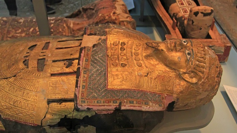 mummy on show at museum