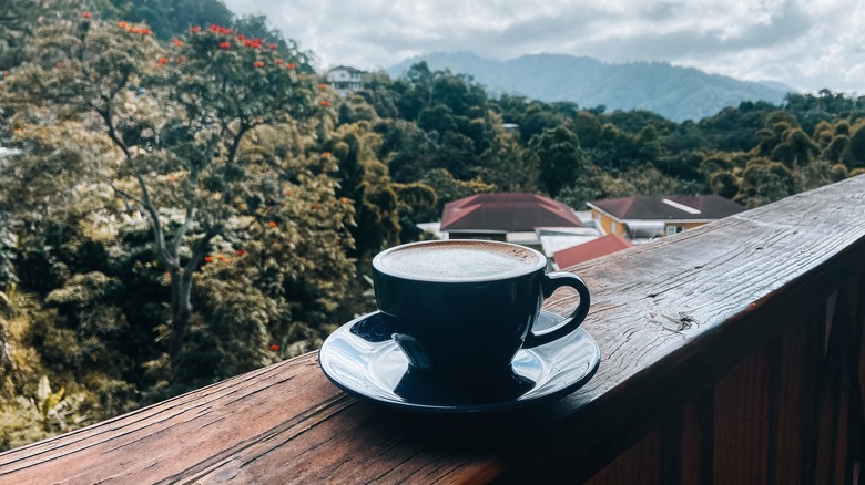 coffee mug with Blue Mountains