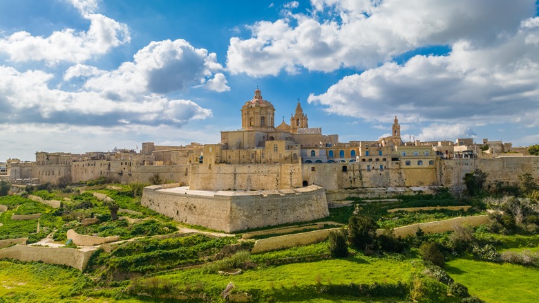 Bird's eye view of Mdina