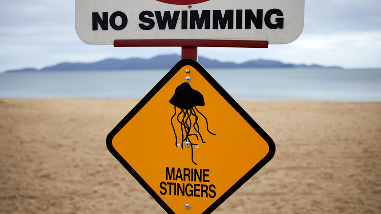 Beach sign warning about jellyfish