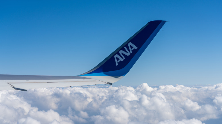 ANA Airlines plane