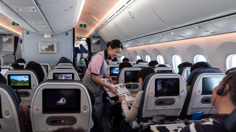Japan Airlines economy