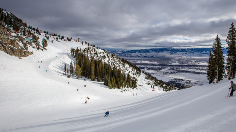 Ski resort