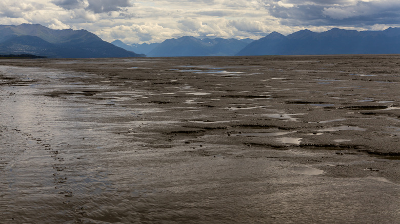 mud flats at cook inlet