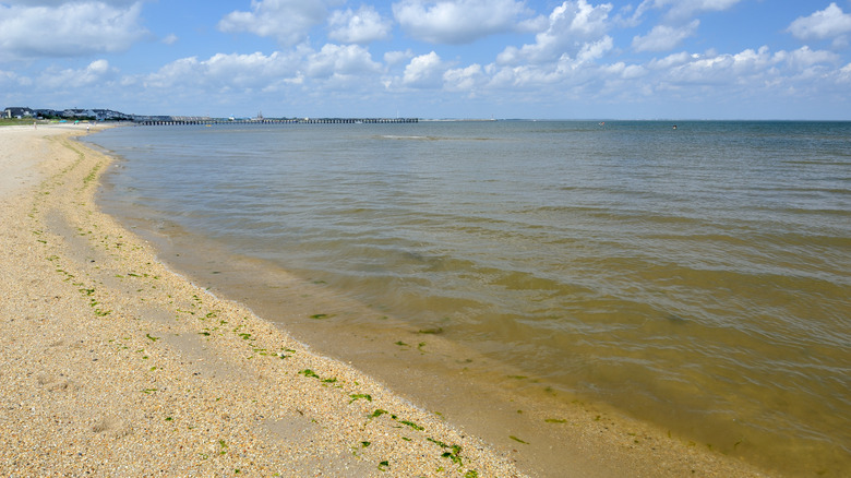 beach at Cape Henlopen