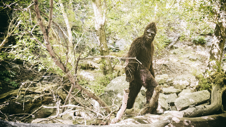 Bigfoot in the forest