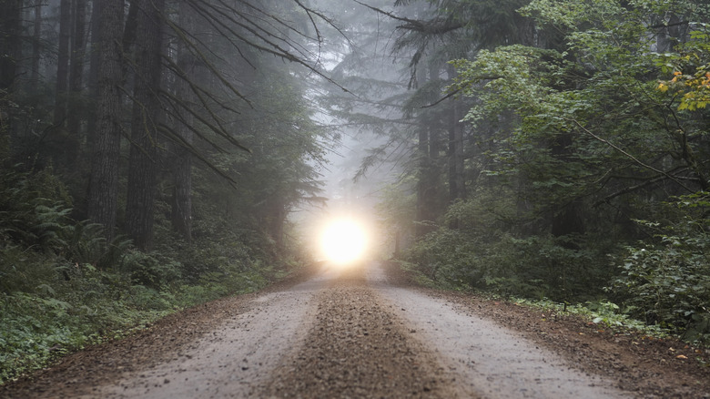 creepy dirt road