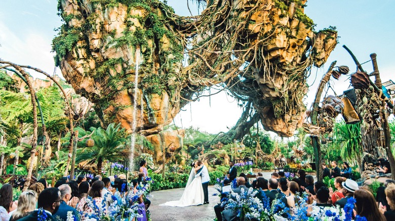wedding at Pandora in Disney