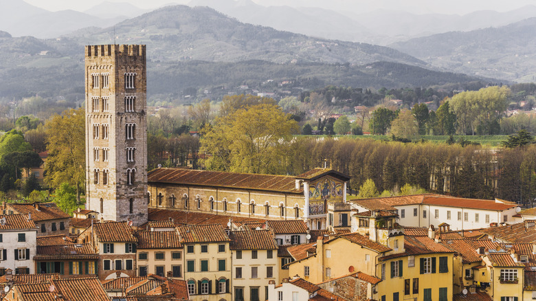 Aerial view of Lucca, Italy