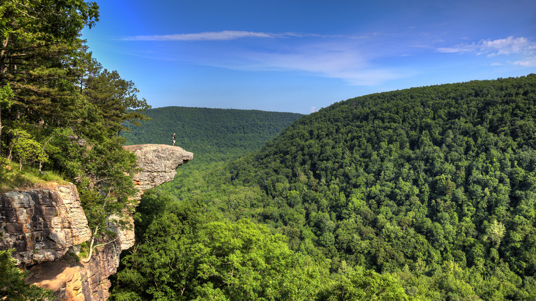 hiker standing on Hawksbill Crag